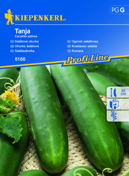 Salátauborka Tanja (min.40 db)