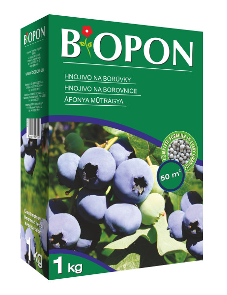 Bipon áfonyatáp