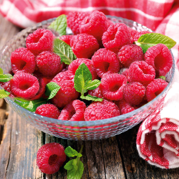 Rubina Royal Málna (2)