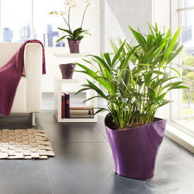 Hullám cserép fényes lila (25 cm)