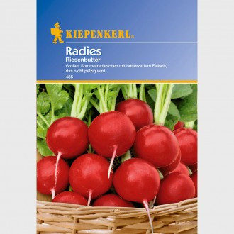 Piros retek Riesenbutter (mag)
