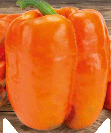 Narancs színű kaliforniai paprika