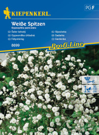 Fátyolvirág Weiße Spitzen