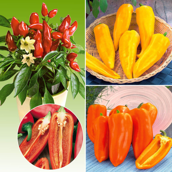 Snack paprika összeállítás (3)