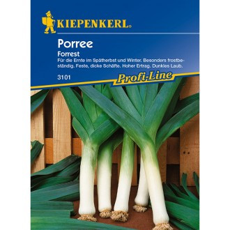 Póréhagyma Forrest