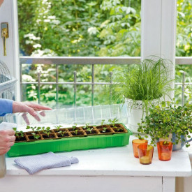 Palántanevelő 16 db tőzegcseréppel