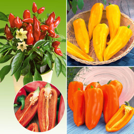 Snack paprika összeállítás (3)