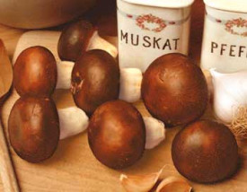 Barna csiperke gomba