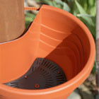 Trento terracotta (W)