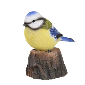 Üdvözlő madár kék cinege