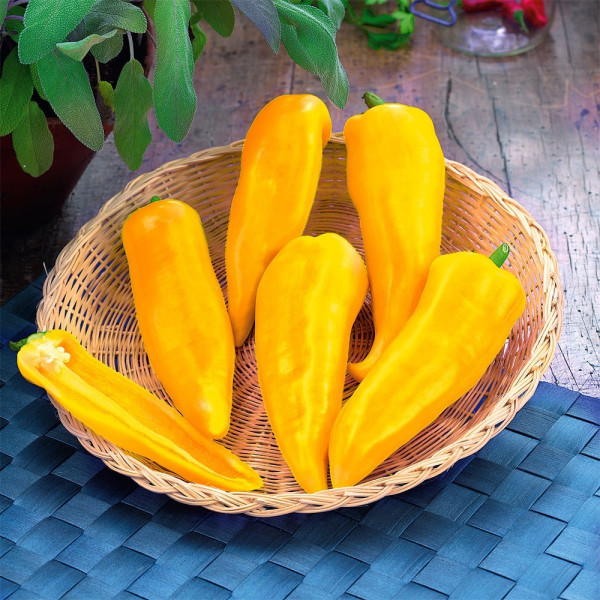 Snack paprika Mini Yellow