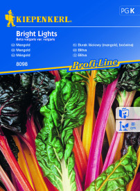 Mangold Bright Lights (mag)