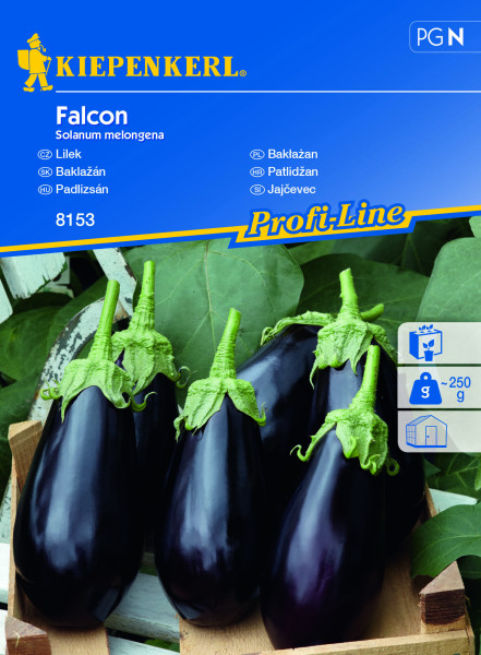 Padlizsán 'Falcon' (8 db)