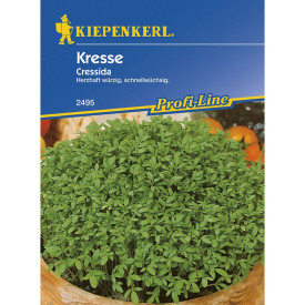 2495 Zsázsa Cressida