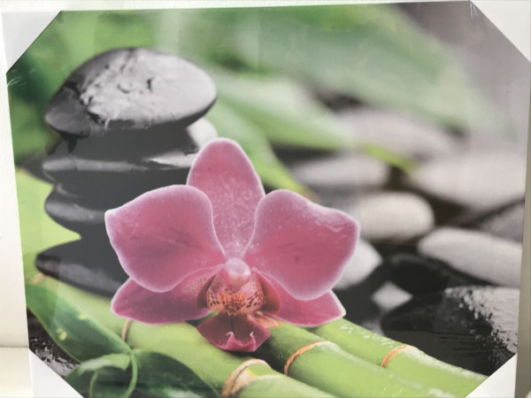 Zen kép orchideával