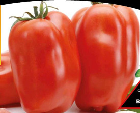 Üreges szilvaparadicsom Scatolone