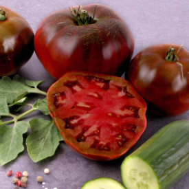 Fekete salátaparadicsom Schwarze Krim