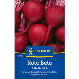 Cékla mag Rote Kugel 2
