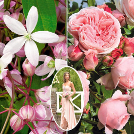 Klemátisz Apple Blossom, Giardina rózsa összeállítás