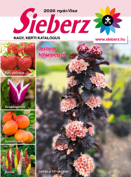 Sieberz katalógus HU