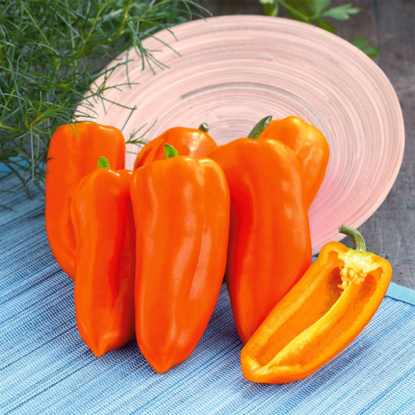 Snack paprika Mini Orange 1
