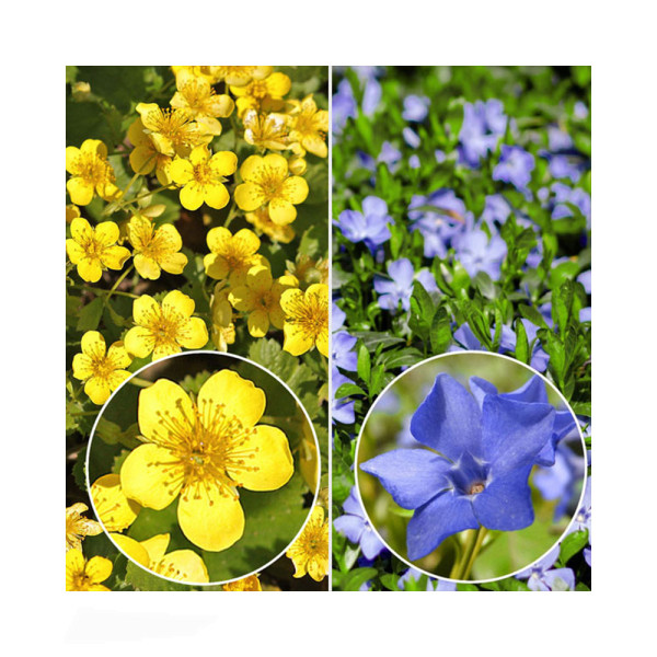 6 kis meténg + 6 berkipimpó