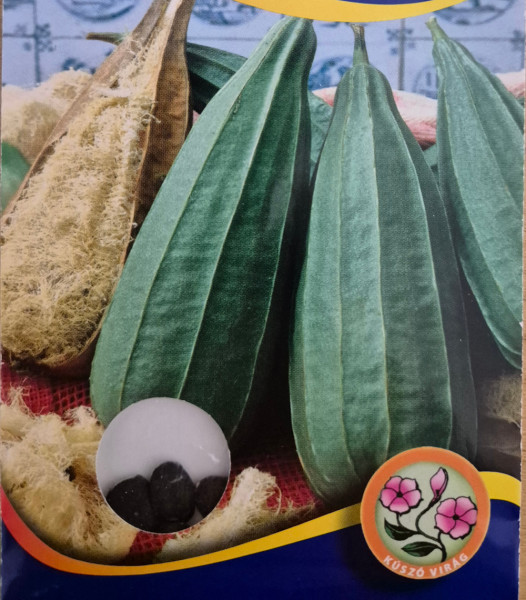 Lufa tök (szivacstök)