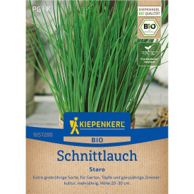 Bio metélőhagyma vetőmag