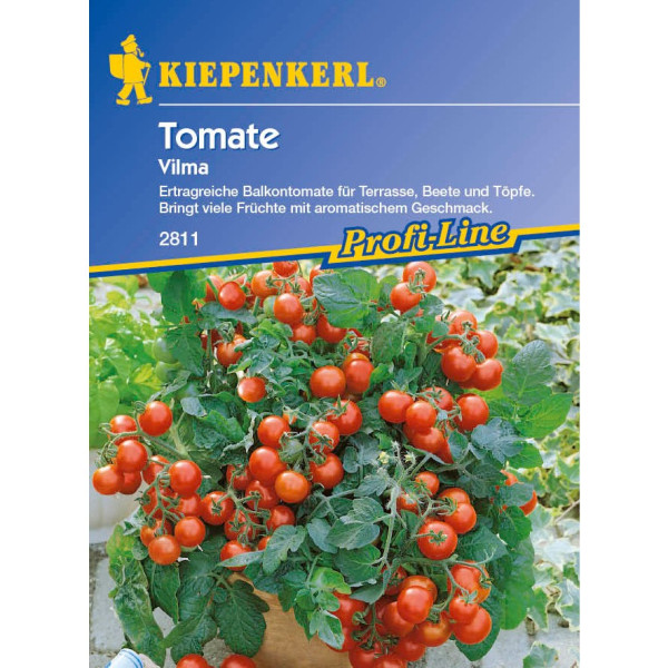 Balkonparadicsom Vilma