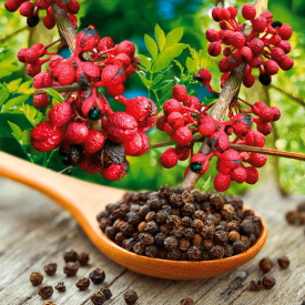 Red Hot Pepper szecsuáni bors