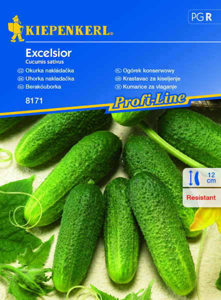 Csemegeuborka Excelsior (mag/15 db)